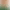 Anto character image