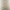 Dani character image